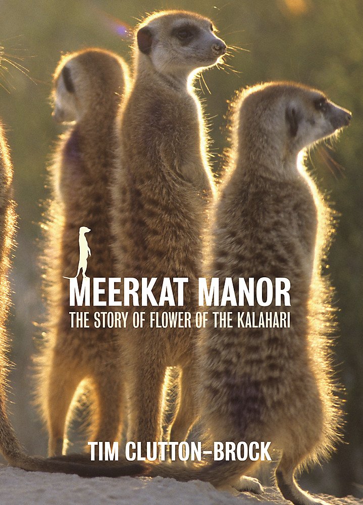 Meerkat Manor: Flower Of The Kalahari