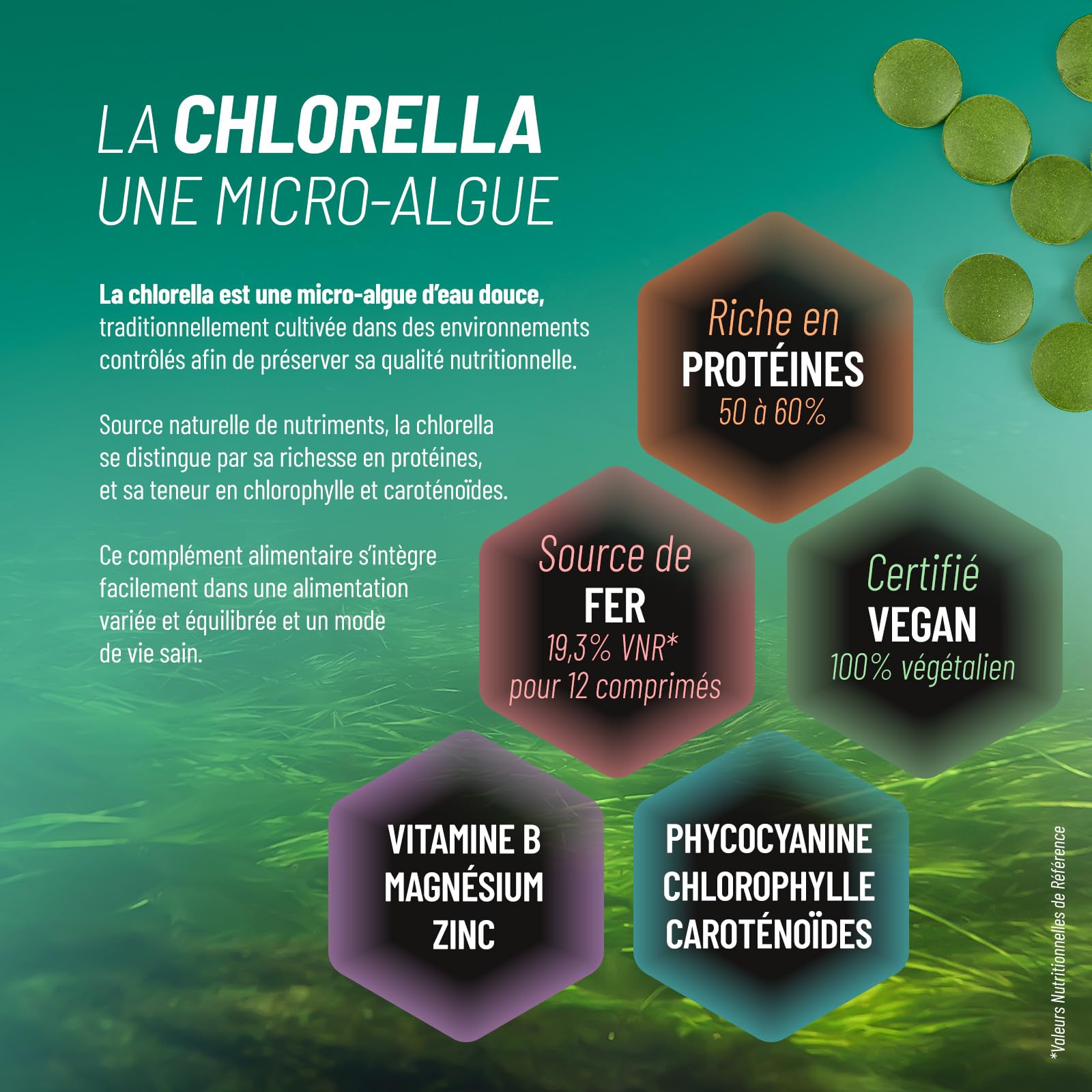 Chlorella BIO | 6000 mg/jour | Antioxydant, Vitalité | Sans Additif | 500 Comprimés | GPH Diffusion