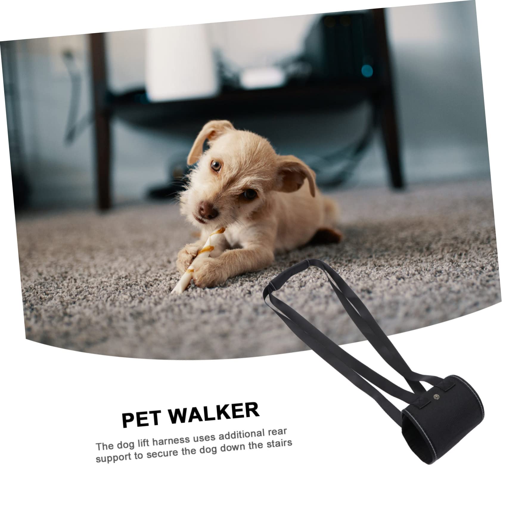 Angoily 3pièces De Soutien pour Chien Ceinture De Levage Arrière pour Chiens Âgés Handicapés Ou Blessés Accessoire Pratique pour Promenades Extérieur Déplacements