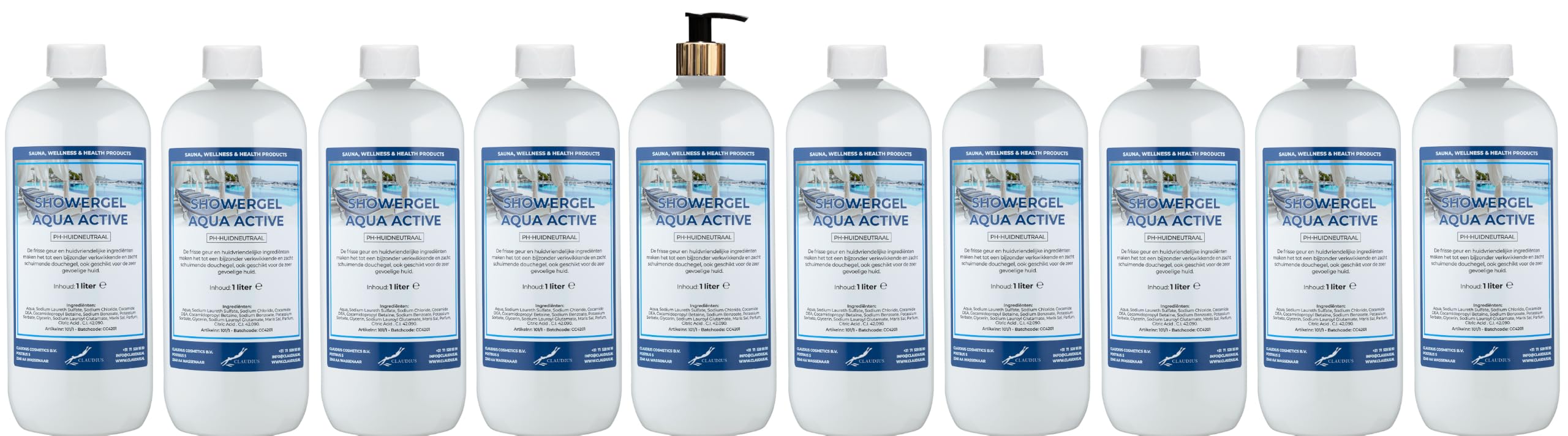 Duschgel Aqua Active 10 x 1 Liter mit goldener Pumpe