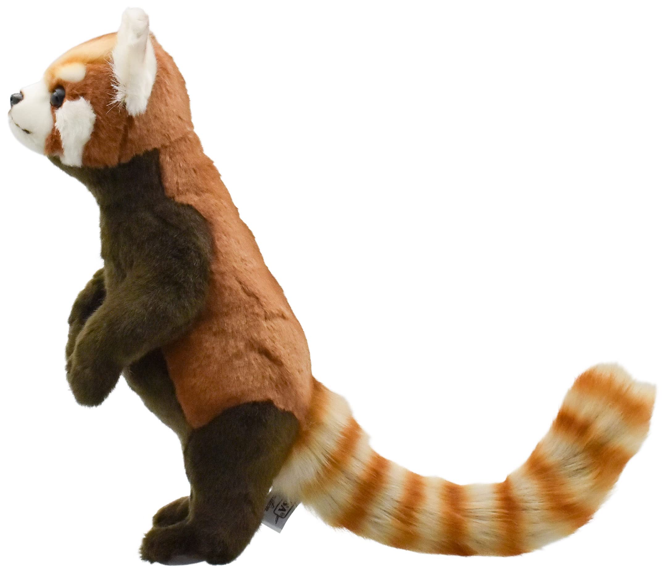 Amazon.co.jp: BH7252 HANSA レッサーパンダ37 : おもちゃ