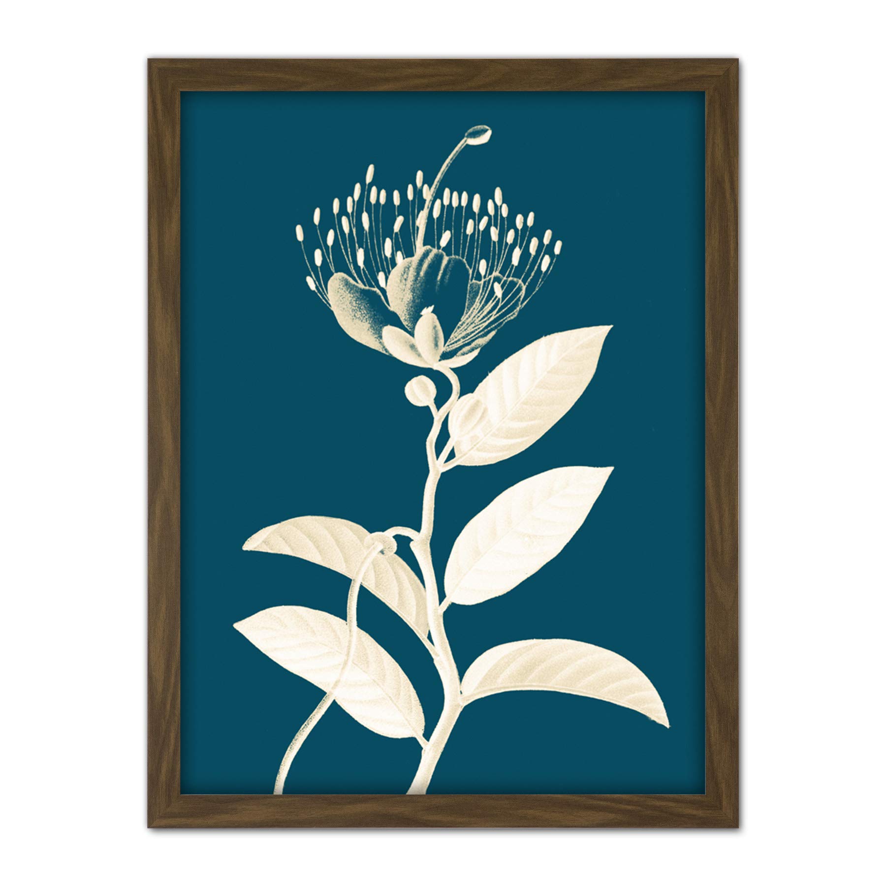 Wee Blue Coo Modern Bold Biodiversity Blue Plant Artwork Framed Wall Art Print 18X24 Inch