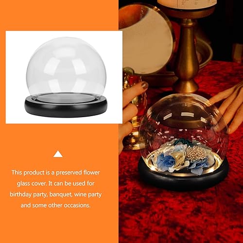 Miniatura 3 de Decor Sun - 1 juego de cúpula de cristal, cristal transparente, tarro de cúpula expositor, centro de mesa para plantas, suculentas, luces de hadas,