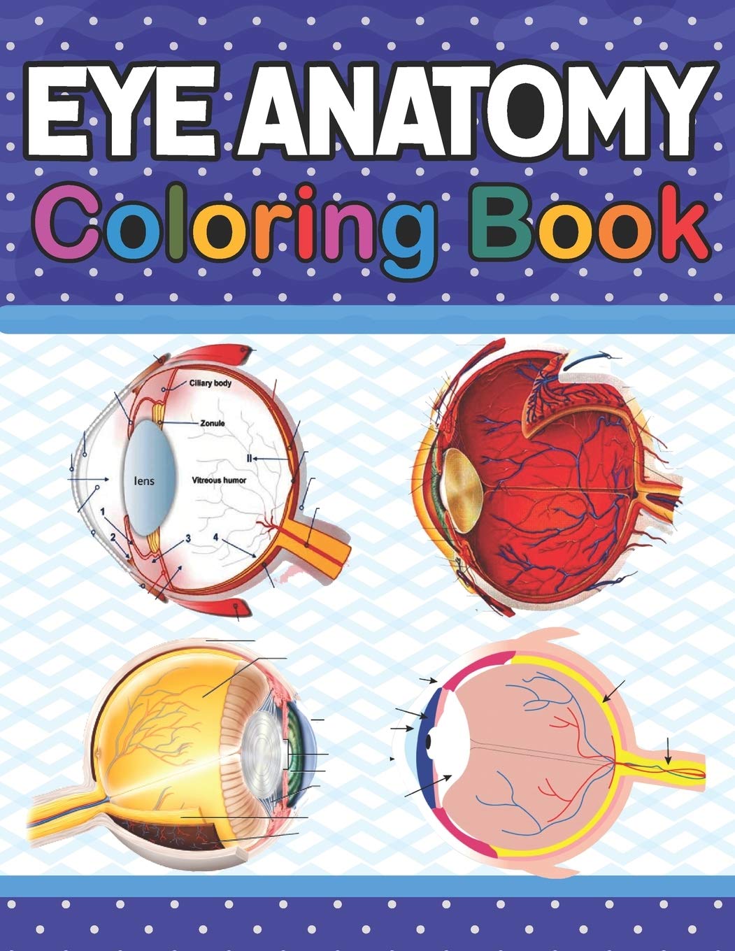 Buy Eye Anatomy Coloring Book Incredibly Detailed SelfTest Human Eye