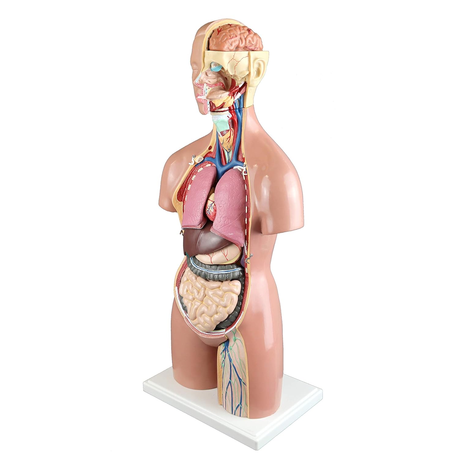 Chechen uy qurilishi jinsiy aloqa video Yolovchi poezdida jinsiy aloqa