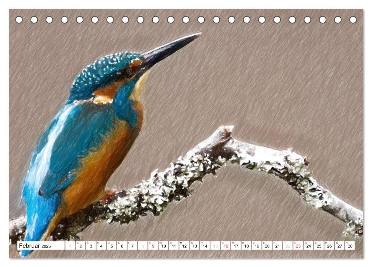 Schottlands Vogelwelt - Ein Porträt in Zeichnungen (Tischkalender 2025 DIN A5 quer), CALVENDO Monatskalender: Dieser Kalender ist ein Streifzug durch ... in farbigen Zeichnungen (CALVENDO Natur)