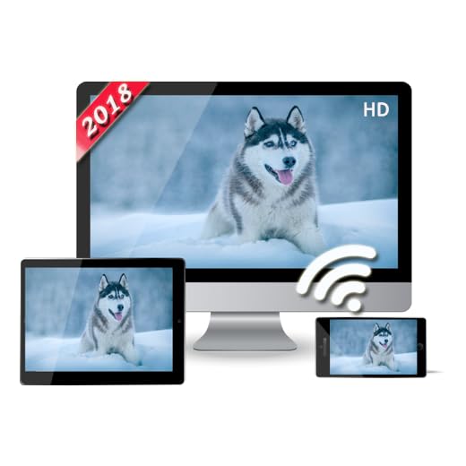 Miracast Display Screen