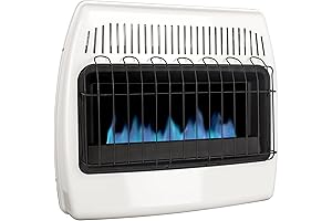 Dyna-Glo Blue Flame Vent-Free Wall Gas Heater
