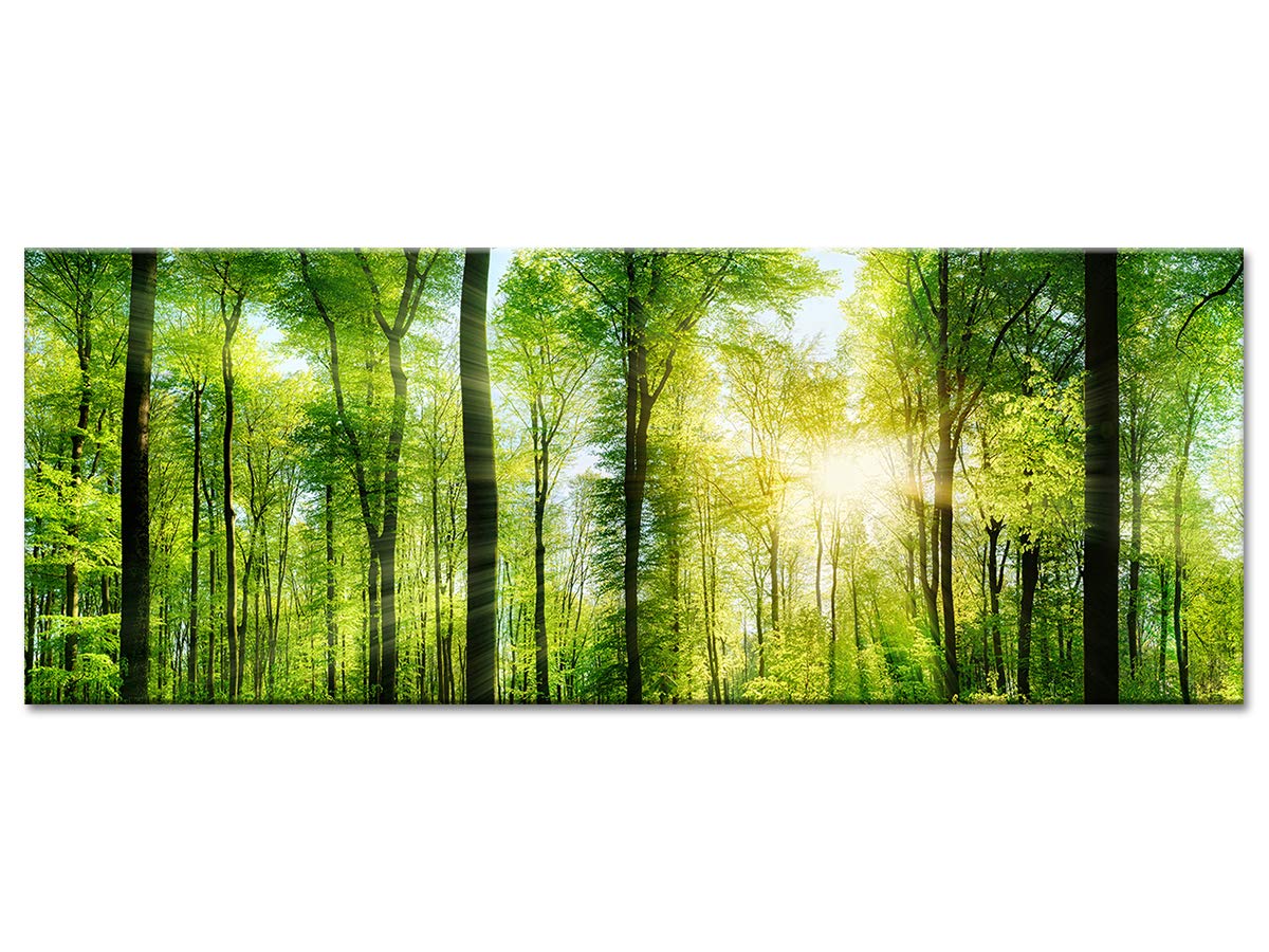 Delina Wandbild, Plexiglas Natur Verdoyante grün – Druck Acrylglas Modern Vintage – Dekoration für Haus, Küche, Wohnzimmer, Schlafzimmer, Büro – 120 x 50 cm