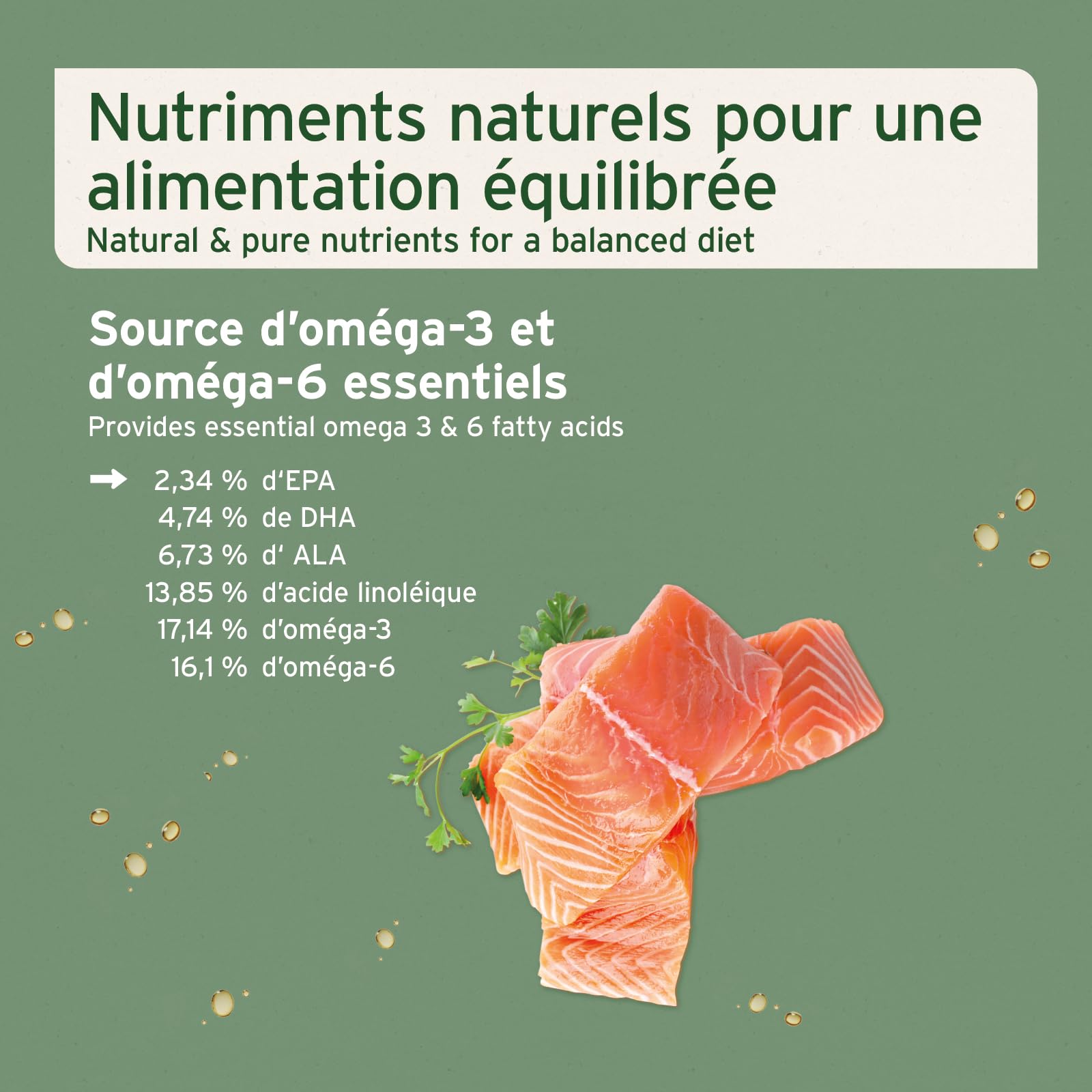 AniForte Huile de Saumon 1 L pour Chiens – Poisson Naturel de Norvège, Riche en Oméga‑3 & 6, Complément Alimentaire Barf sans Additifs