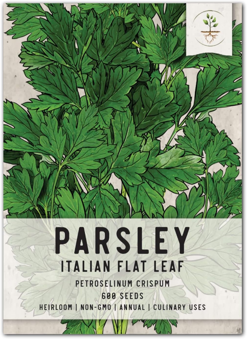 Seed Needs, Italian Flat Leaf Parsley Seeds For Planting