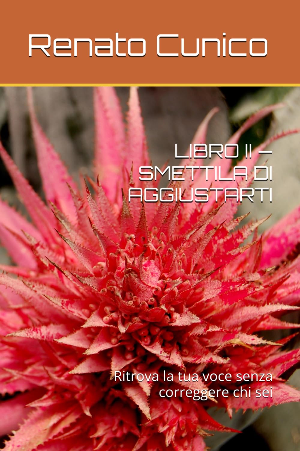 LIBRO II — SMETTILA DI AGGIUSTARTI: Ritrova la tua voce senza correggere chi sei