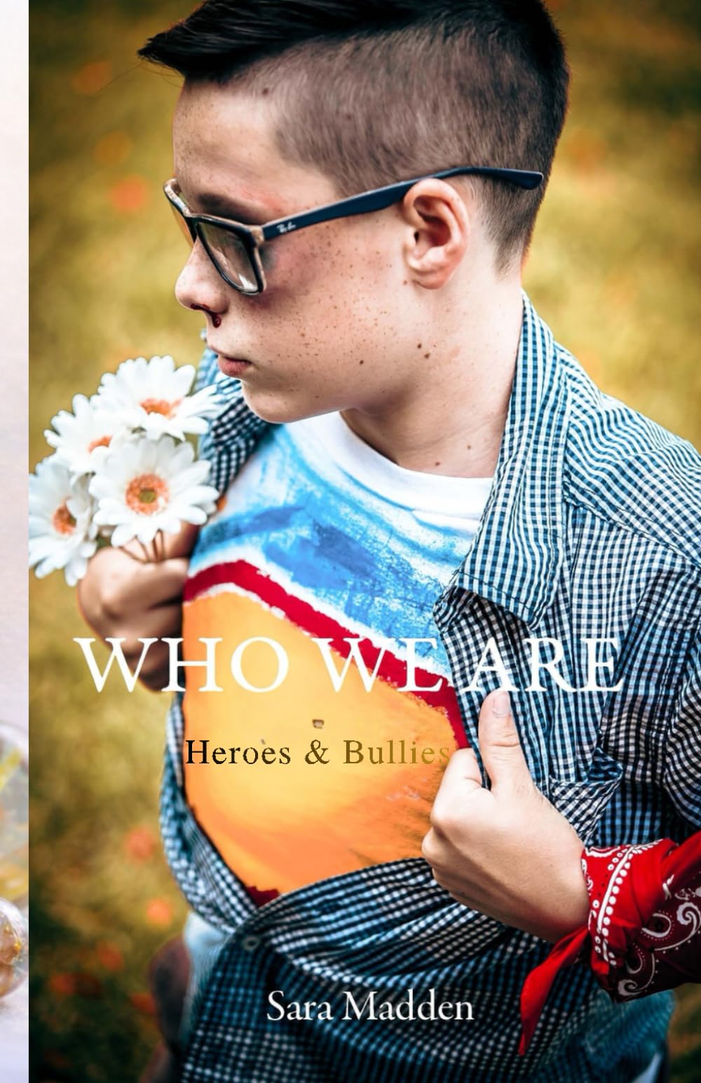 Who We Are: Heroes & Bullies