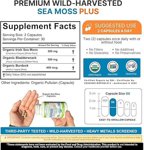 Miniatura 2 de Power By Naturals Suplementos orgánicos certificados de musgo marino Plus con musgo marino irlandés hecho a mano en el desierto chorro de vejiga y