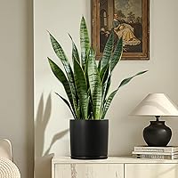 Vista 6 de Kazeila 10 Inch Ceramic Planter Pot with Drainage Hole & Tray, Large Indoor Plant Pots, Modern Cylinder Flower Pot, Includes Mesh Net, Plug, Pads &