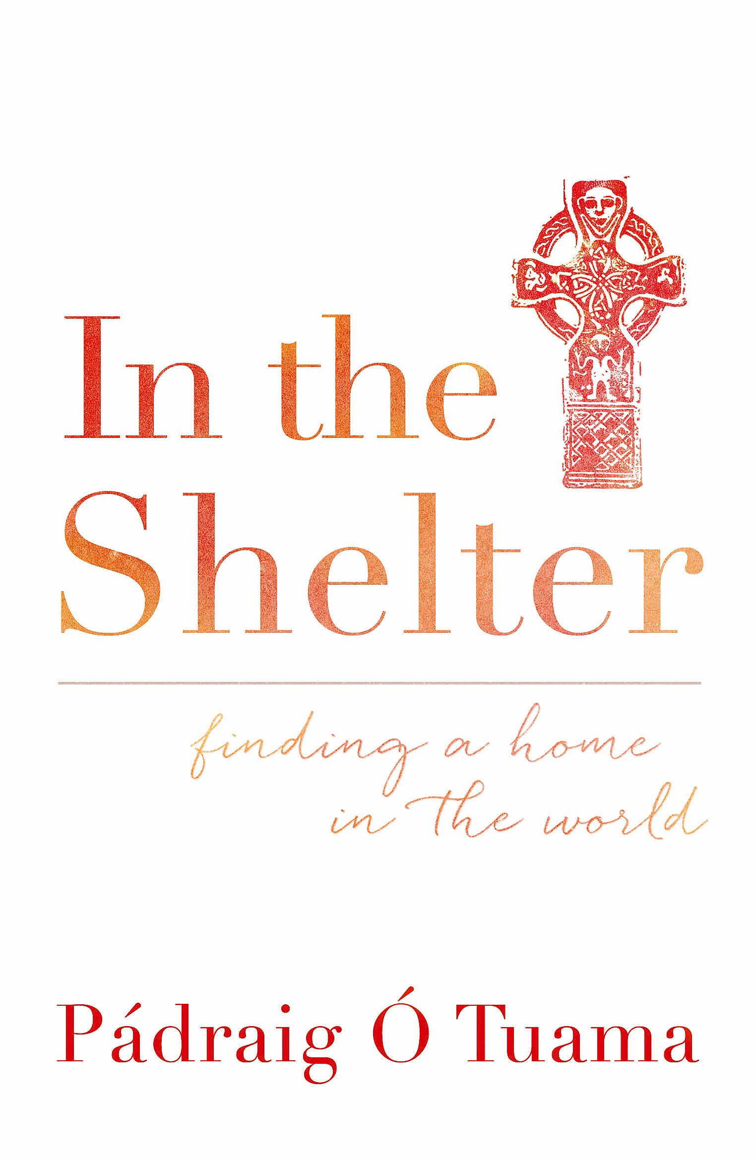In the Shelter: Finding a Home in the World By Padraig O Tuama. 9781444791723