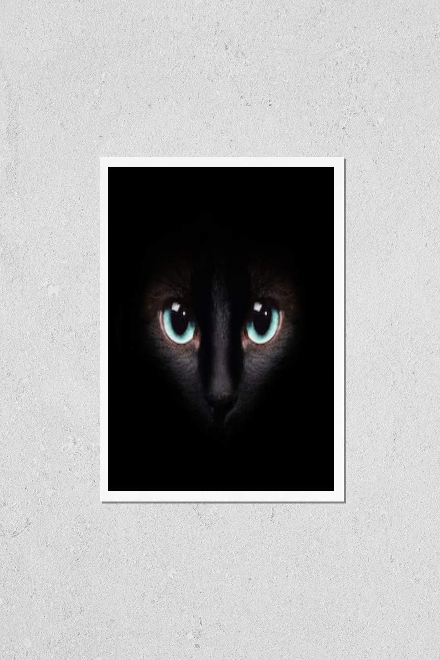 Wall Art Poster Print of Eyes of The Siamese Cat in The Darkness