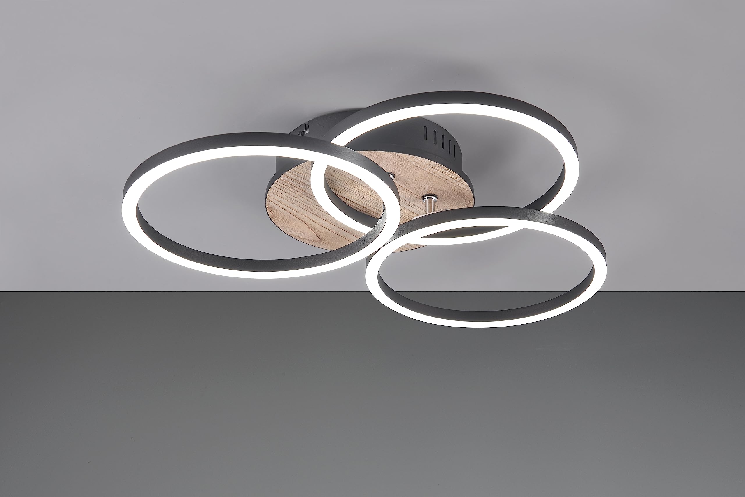 Reality, Lámpara de techo, Circle incl. 1xLED