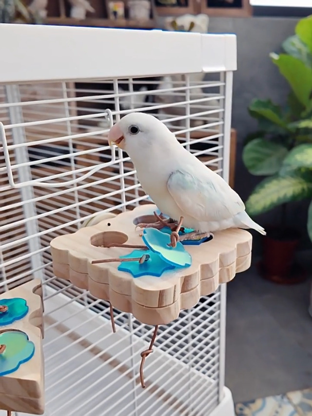 PINVNBY 2 PCS Small Bird Foraging Toys Wooden Parakeet Interactive Puzzle Toys Enrichment Chewing Training Toys for Cage Birds Cockatiel Lovebird Parakeet Budgie Small-Medium Birds - image 8