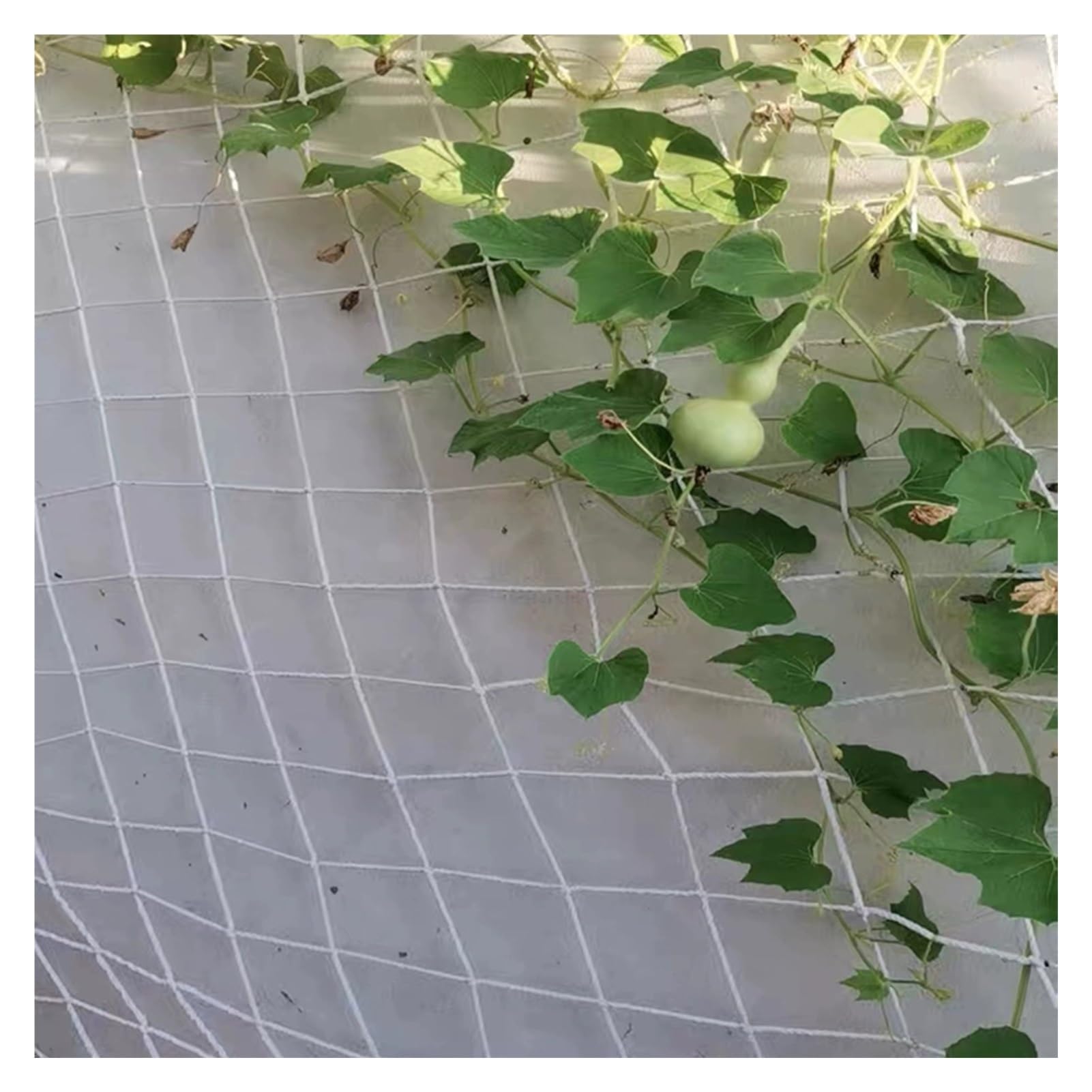 Rete Bianca,Rete Senza Nodi Balcone Rete Corda Bianca Protezione Sicurezza Decorativa Le Gatti Tagliabile Anti Uccelli Esterni Parco Giochi(3X6m)