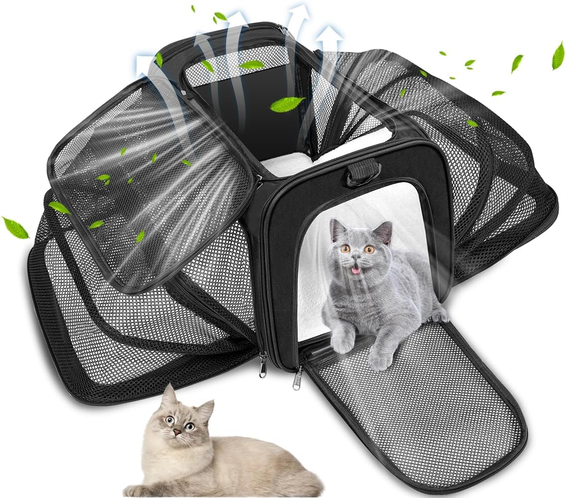Bolsa de Transporte Pet Para Viagem, Caixa Para Gatos, Transporte Gato