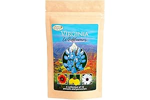 Maryland Wildflower Seed Mix - 18 Varieties, Over 35,000 Seeds