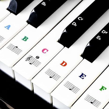 Piano Key Stickers for 37/49/54/61/88 Keys, Music Keyboard Sticker ...