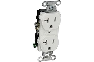 Hubbell Oozing Duplex Comfort: 10-Pack 5-20R Receptacles