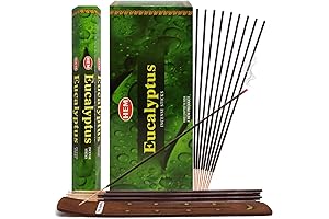 Eucalyptus Incense & Holder: Serene Spirit Sessions