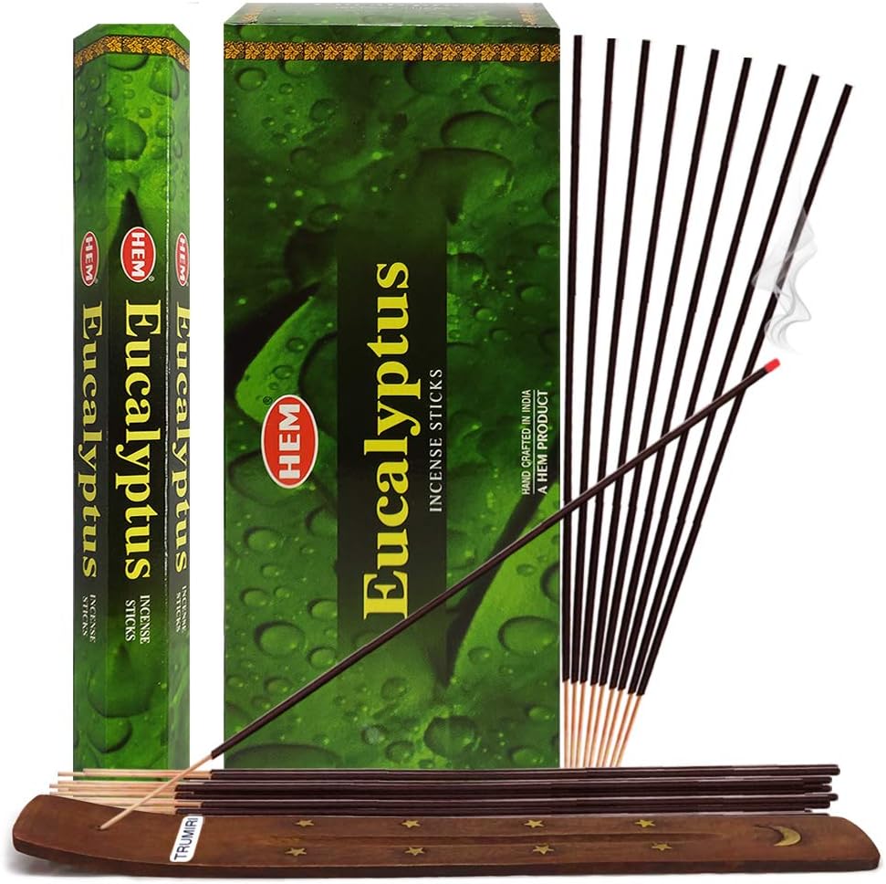 Eucalyptus Incense Sticks and Incense Stick Holder Bundle Insence Insense Hem Incense Sticks