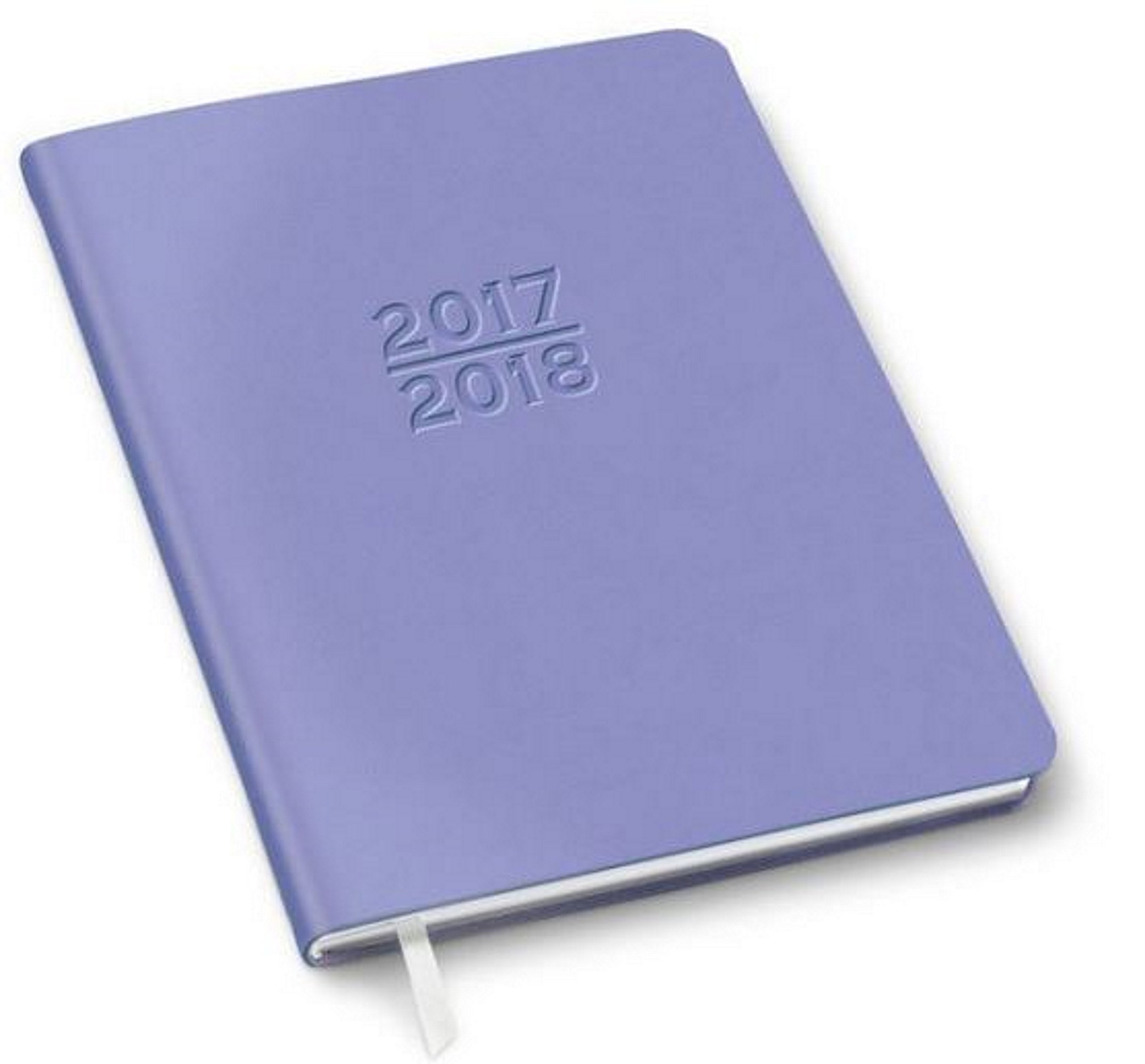 2017-2018 18-Month (Including March 2017-August 2018) Large Light Blue Family Planner Calendar