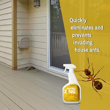 Ant & Roach Killer 11 oz Indoors and Outdoors, Ant Spray for Home, Ants Repellent for House, Fast Kill, Prevents for Weeks, Also Kills Roaches Spiders Centipedes