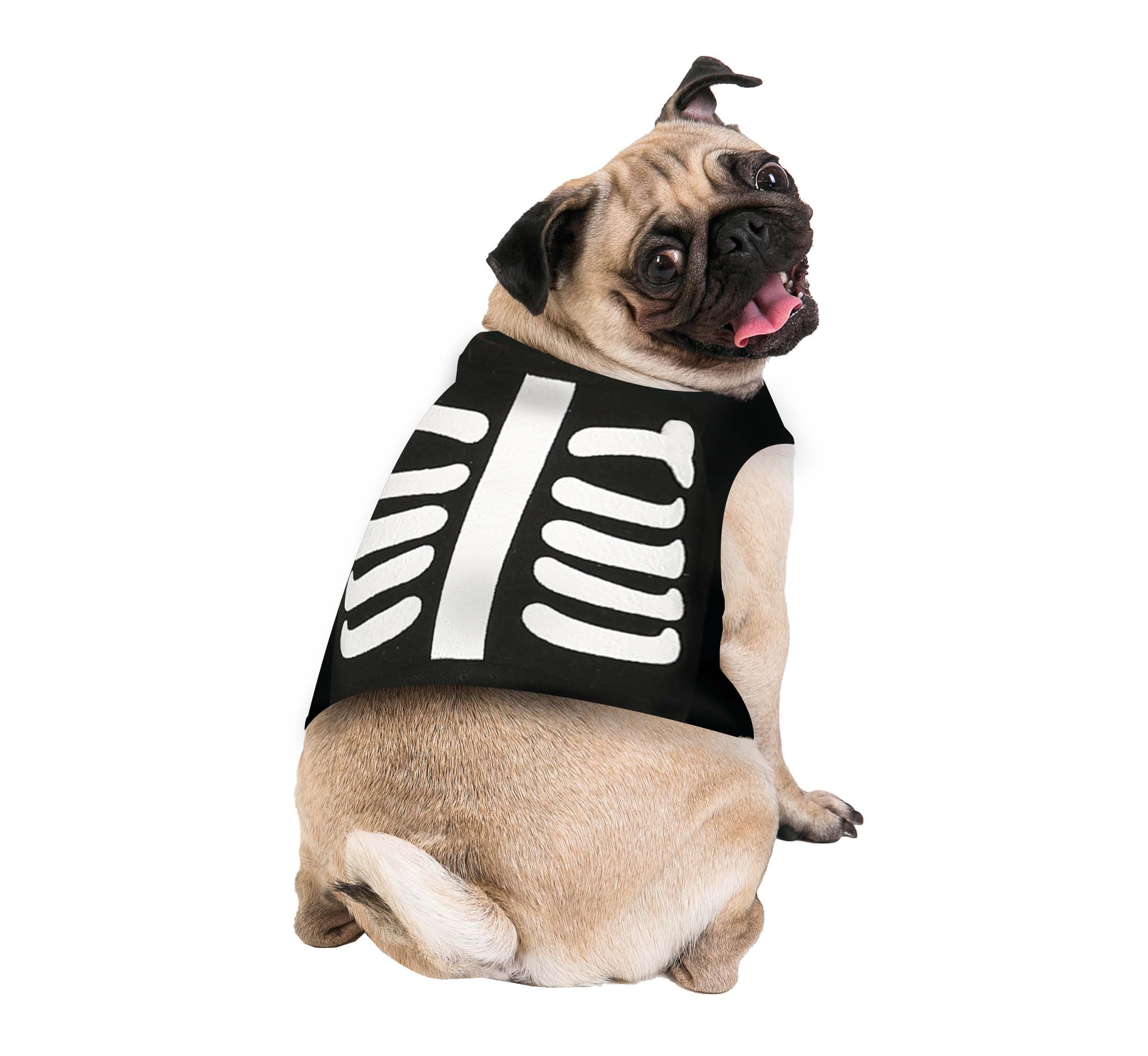 FIESTAS GUIRCA | Skelettkostüm für Haustiere (M/Hund) - Tunika für Hunde - Halloween- und Karnevalskostüme für Haustiere - Ideal für Skelettkostümpartys - Schwarz und Weiß