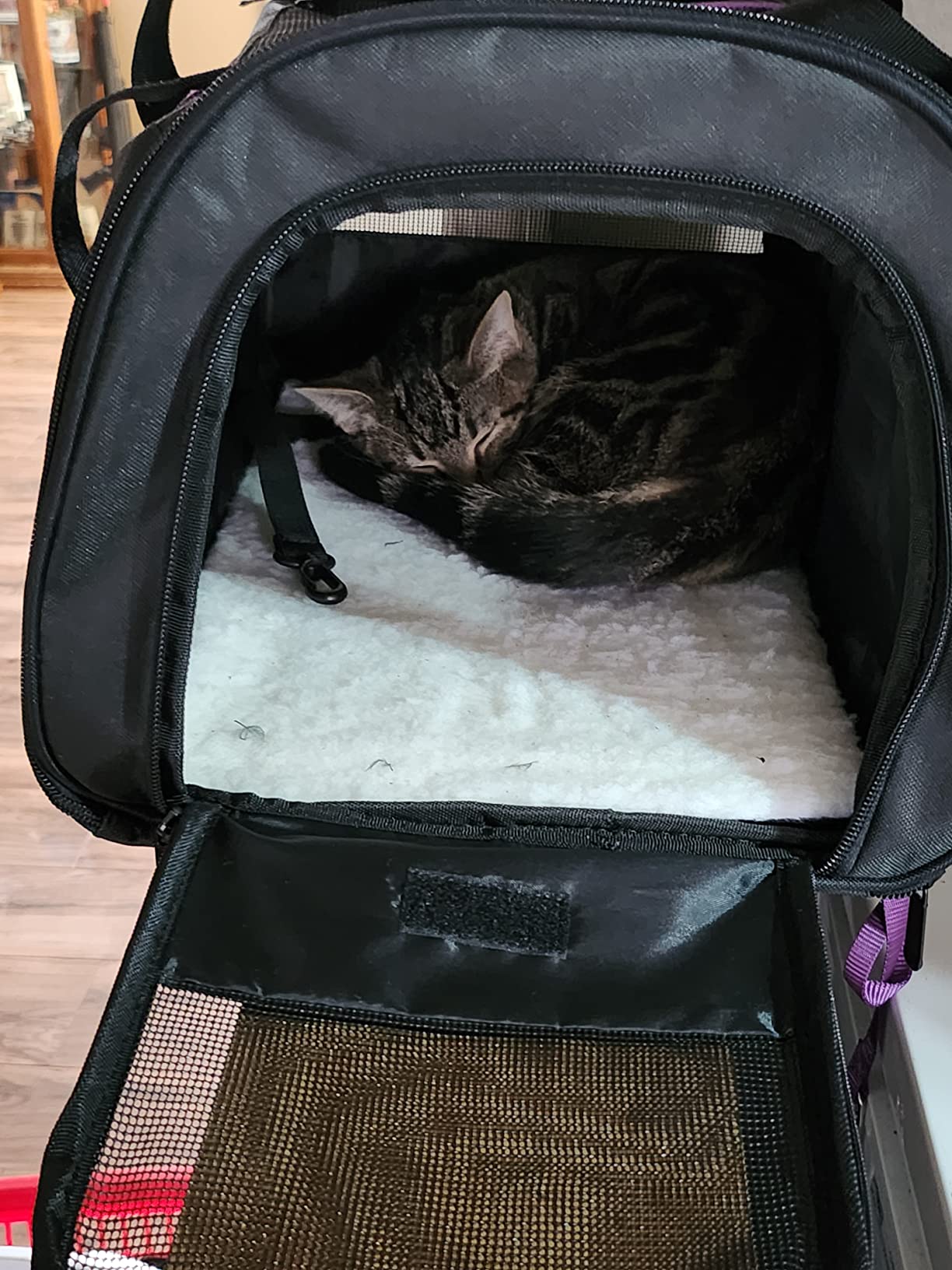 5/mo Finance SECLATO Cat Carrier, Dog Carrier, Pet Carrier Airline