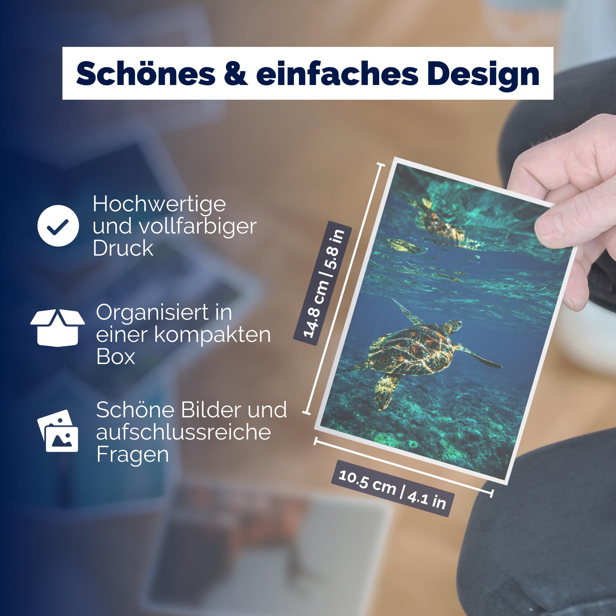 MetaFox Spirit Animals Motivationskarten – 44 Postkarten Mit Tiersprüchen, Aquarell-Design, Für Postcrossing & Deko