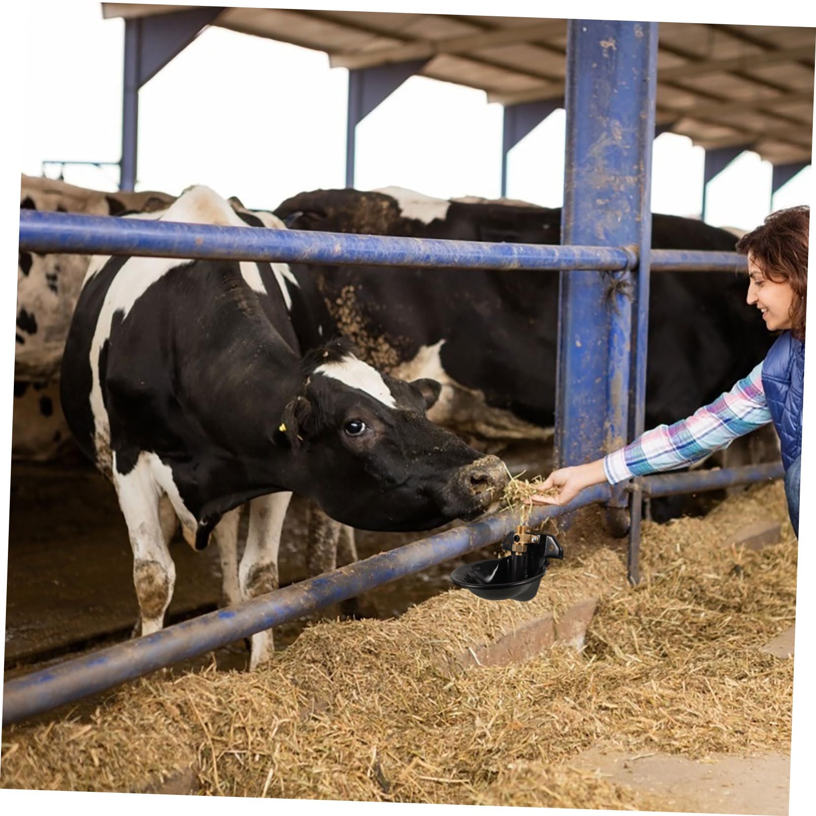 Abbeveratoio Automatico per Bovini a Ciotola, Acciaio Nero Capiente