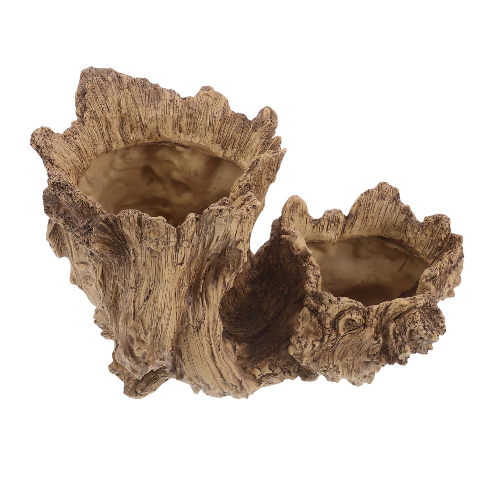Pot de fleurs pour plantes succulentes structure à deux trous en résine beige rustique maison