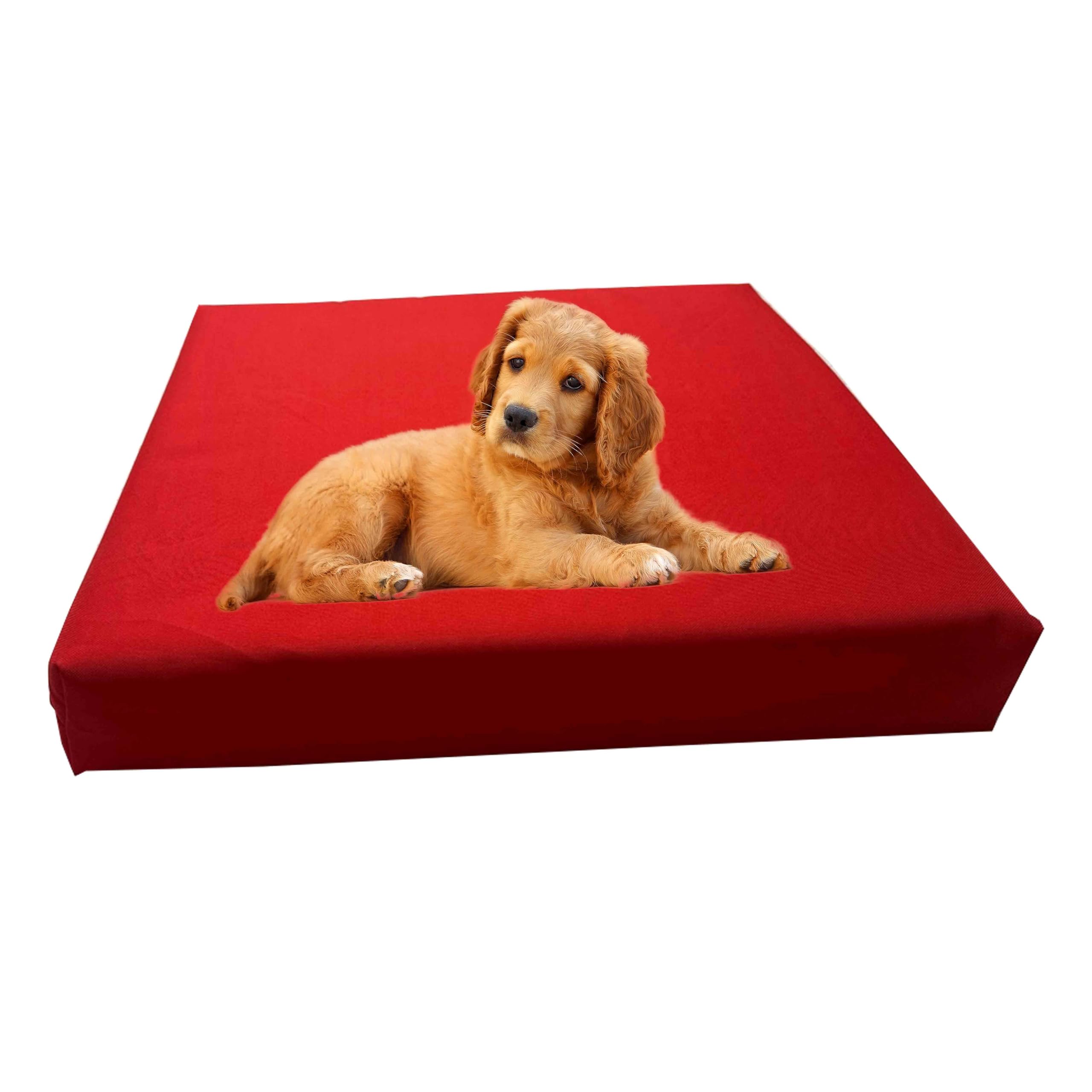 GRIZZLY FOAM Waterproof Dog Bed Cushion and Mattress for Indoor and Outdoor Use with Washable & Removable Zipped Cover and Custom (Red, 108x72x5cm)