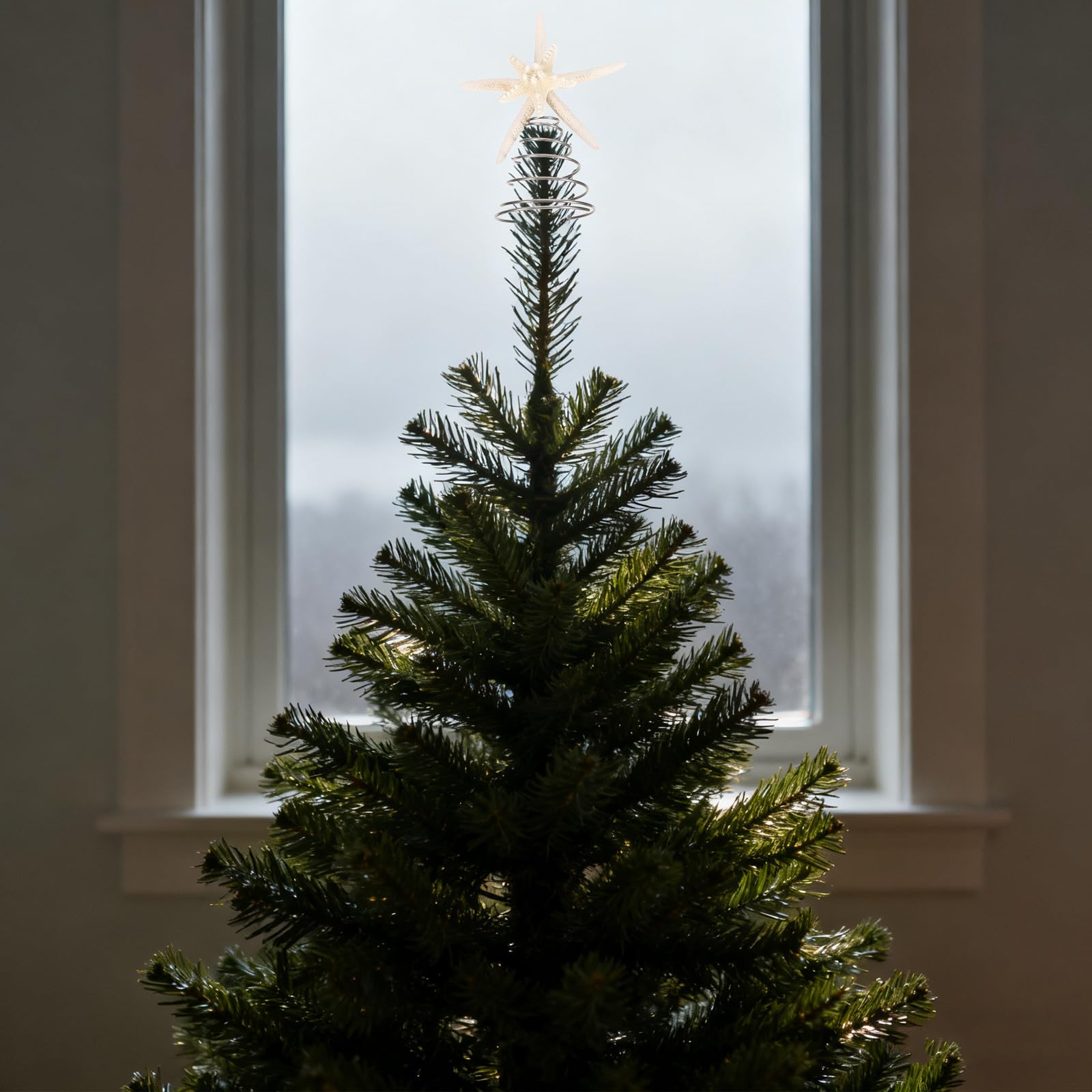 TOYANDONA 4 Stück Maritime Weihnachtsbaumspitze Stern aus Eisen für