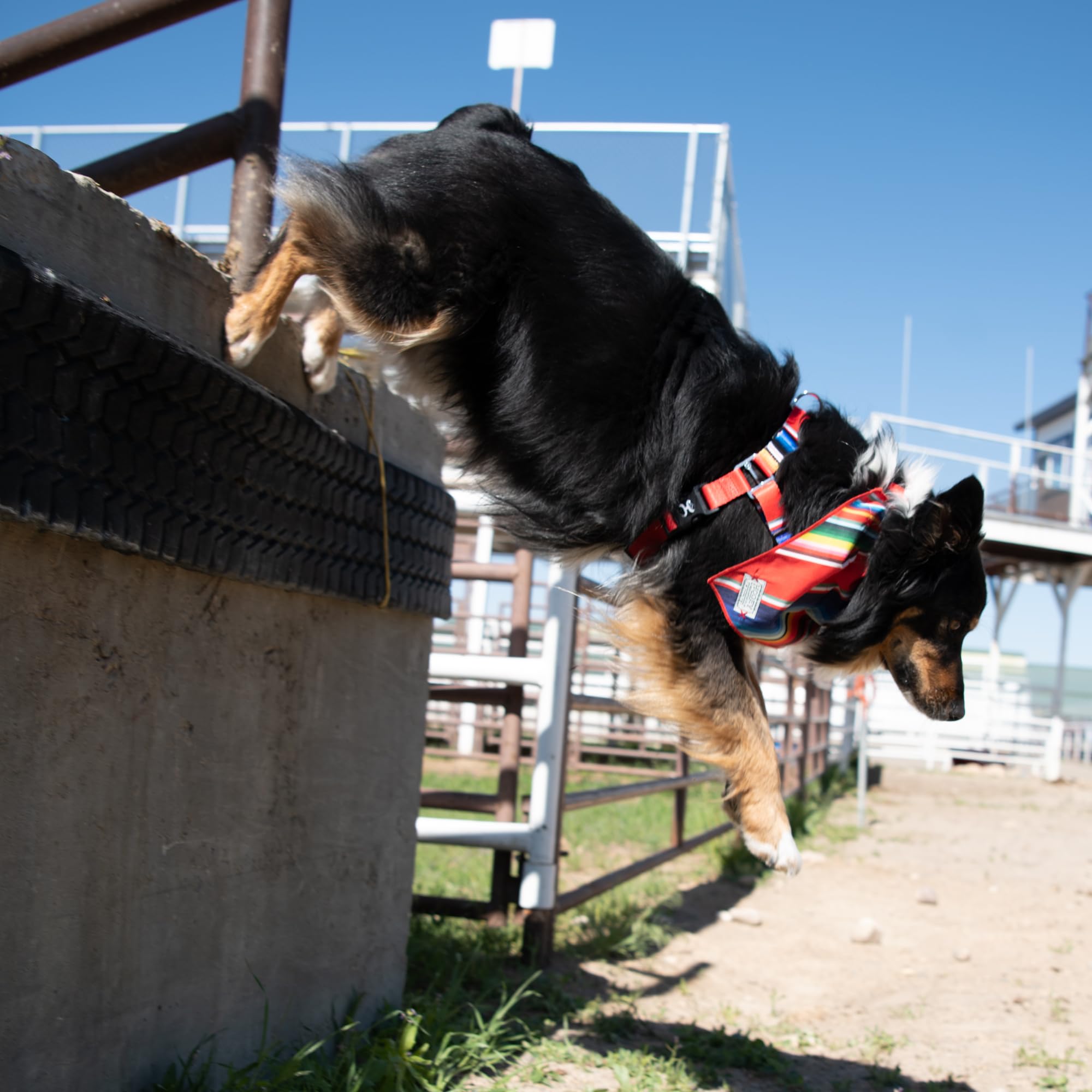 Hooey Nomad Walking Hundegeschirr – Verstellbar, No-Pull, Größe S (Brustumfang 38-53 Cm)