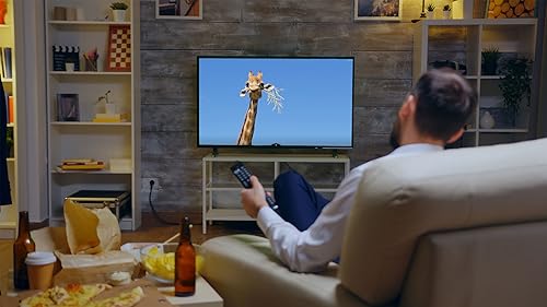 Animais 4K - Música relaxante com vídeo sobre animais