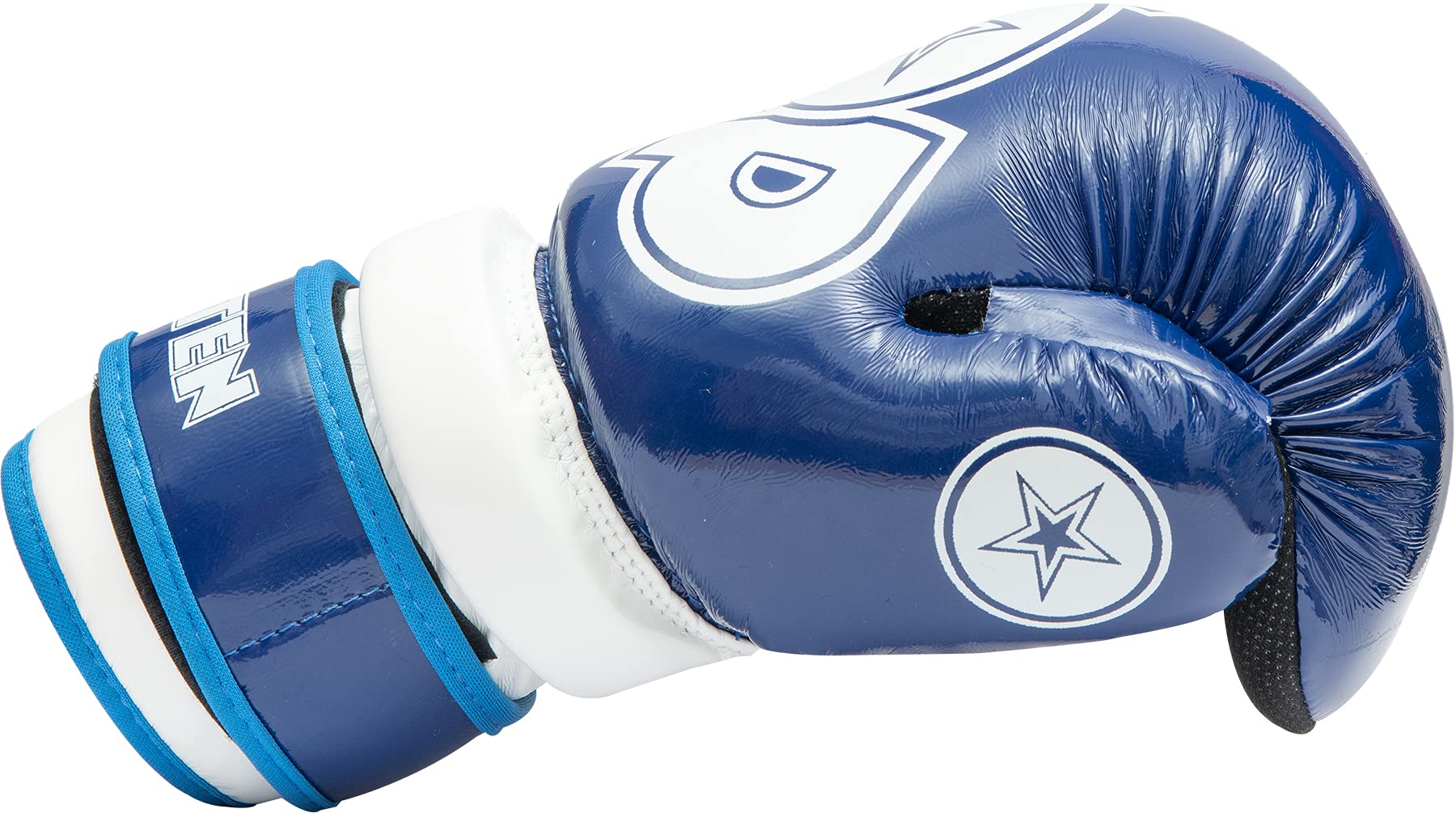 TOP TEN Pointfighter Glossy Block | Kickbox-Handschuhe | WAKO Approved | Original TOP TEN