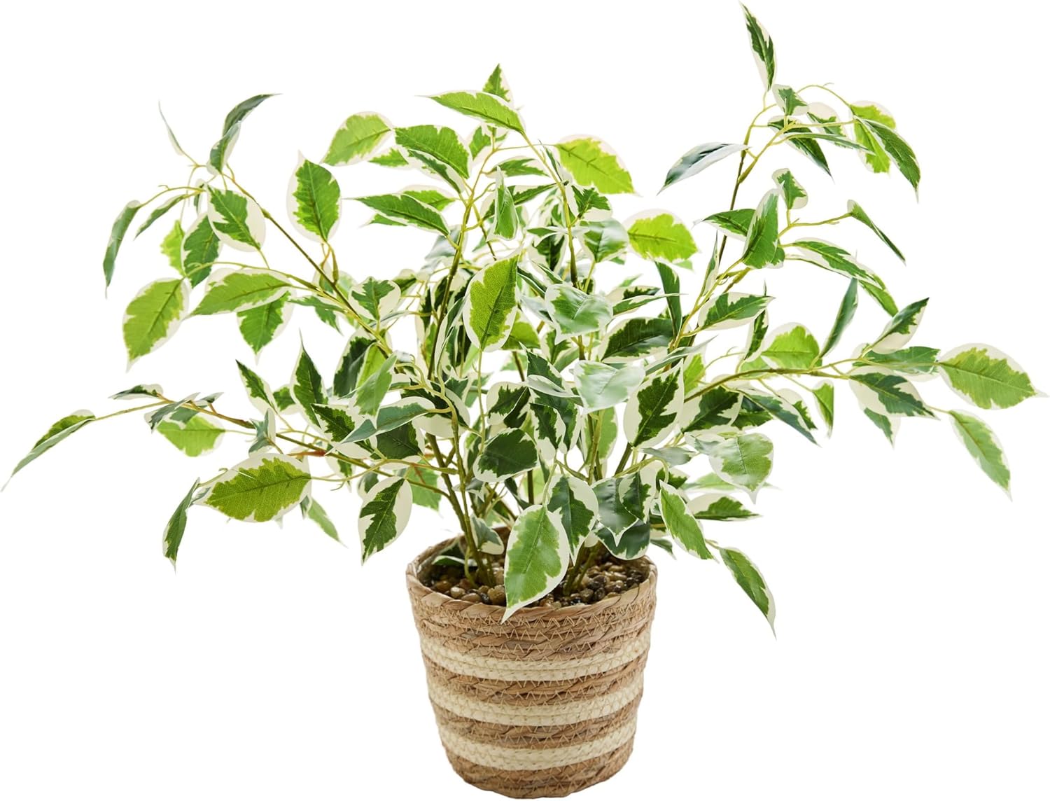 19" Variegated Ficus Artificial Potted Plant in Striped Woven Basket Lifelike Indoor Fake Plant for Shelf Table Apartment Boho Home Decor