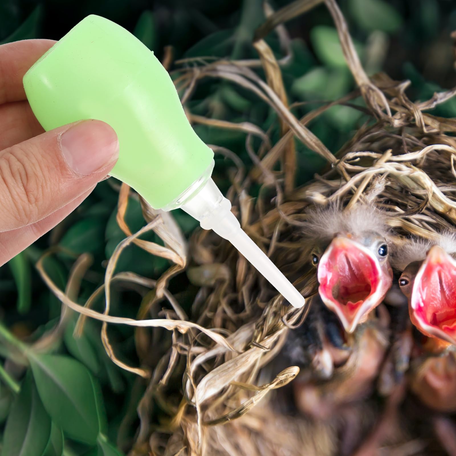 POPETPOP Seringue d'alimentation pour oiseaux, compte-gouttes, pipettes en plastique pour petit animal de compagnie