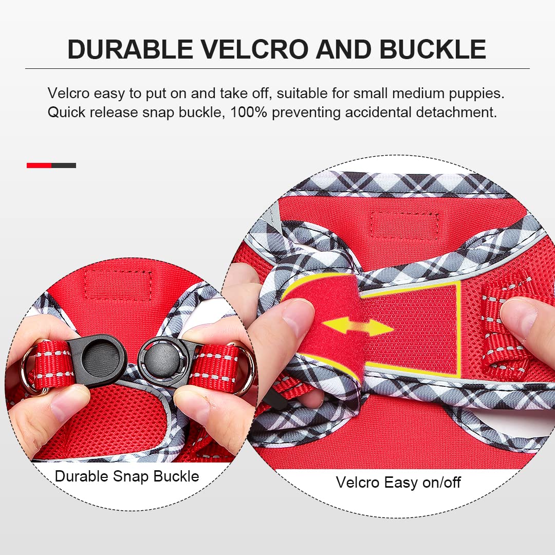 Harnais Chien, Step-in Harnais pour Chiens avec Laisse, Réfléchissant Respirant Mesh Doux Confort Réglable Gilet Harnais pour Petite Chiens Chats pour Marcher Courir (Rouge, S)
