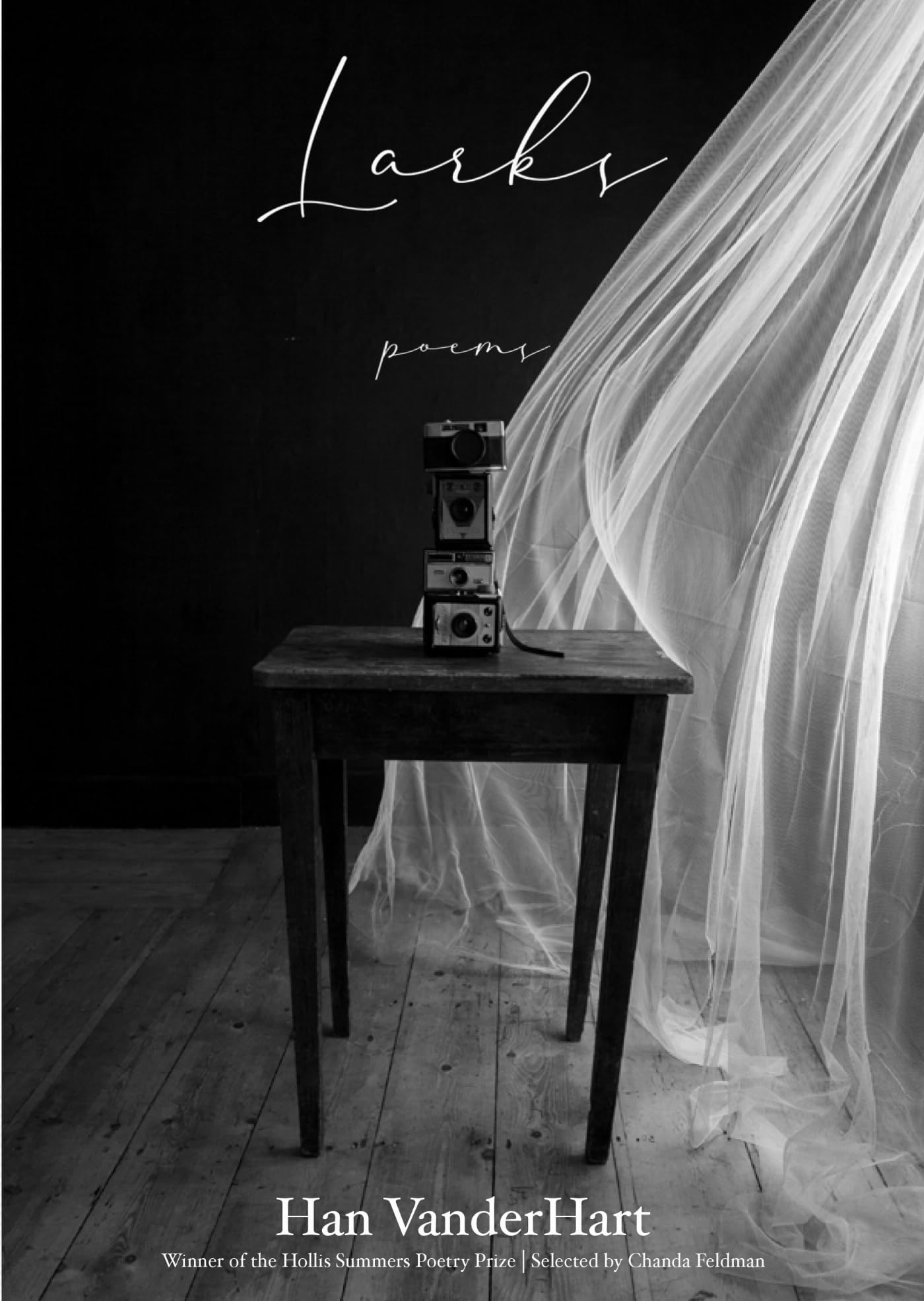 Larks: Poems (Hollis Summers Poetry Prize)