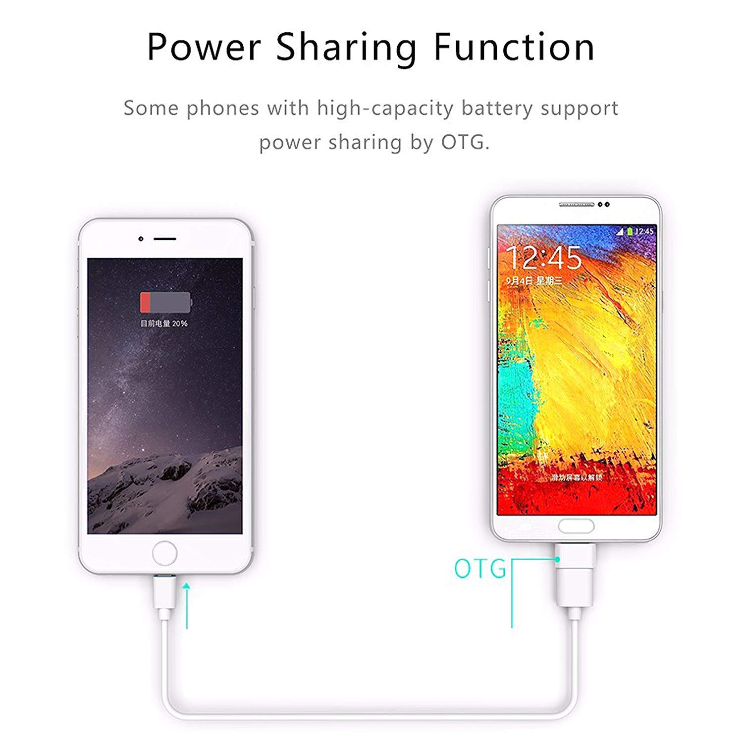 Storite 5 Pack Stylist Little Square Micro USB OTG to USB