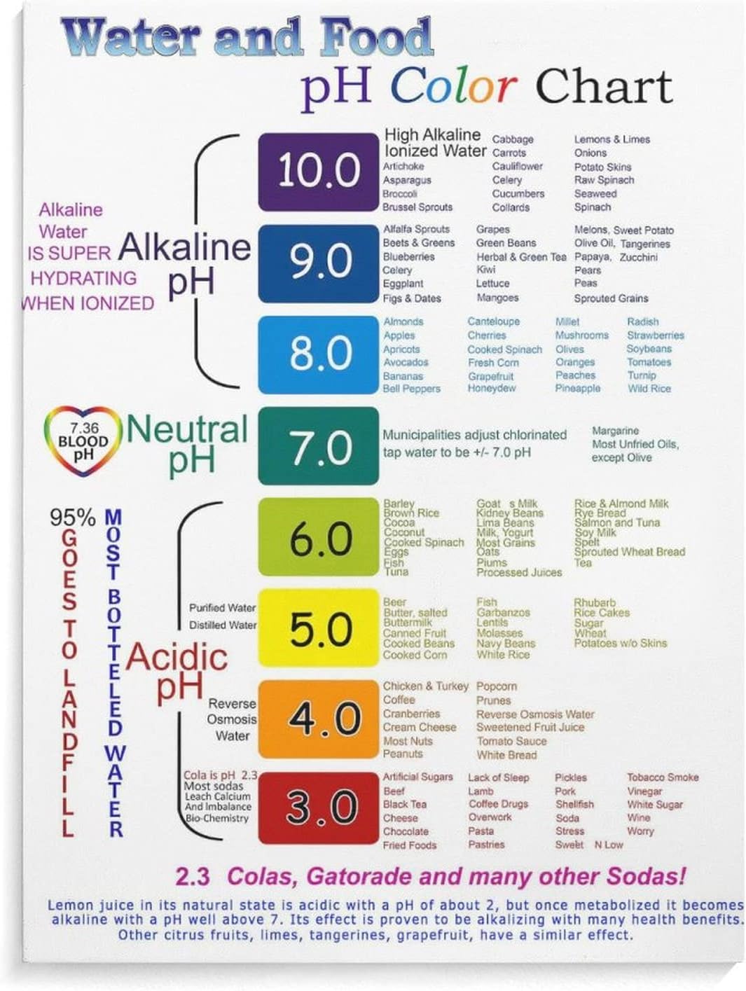 Water and Food Color Chart Poster PH Chart Wall Art Alkaline Food Wall Art Canvas Art Poster and Wall Art Picture Print Modern Family Bedroom Decor 20x26inch(51x66cm) Unframe-Style