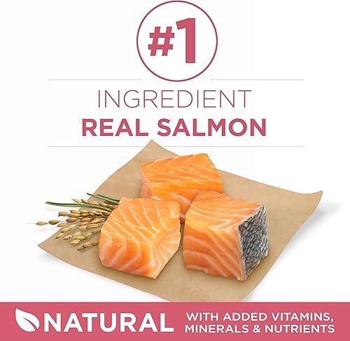 Miniatura 3 de Purina ONE Alimento seco natural para perros con estómago sensible fórmula SmartBlend Sensitive Systems  Bolsa de 311 libras  El embalaje puede