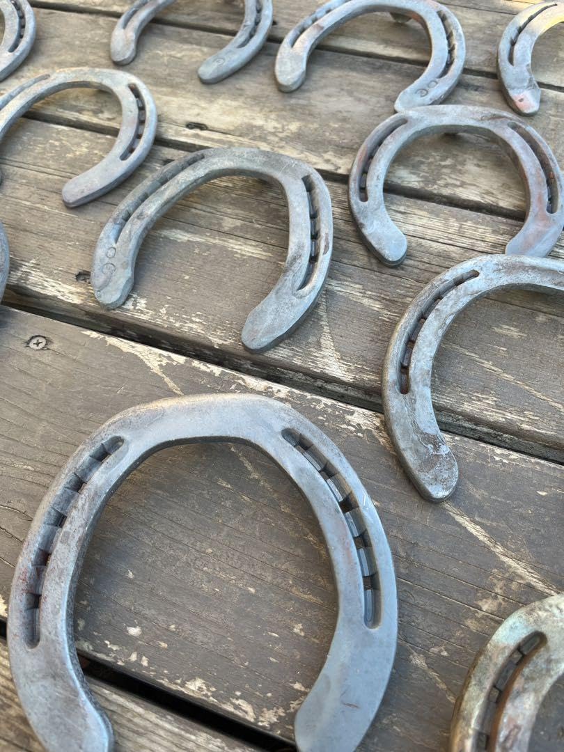 蹄鉄 オーダーページ ゴミ除去 錆除去 焼き仕上げ / 馬蹄 ホースシュー Amazon.co.jp: 蹄鉄 オーダーページ ゴミ除去 錆除去 焼き仕上げ